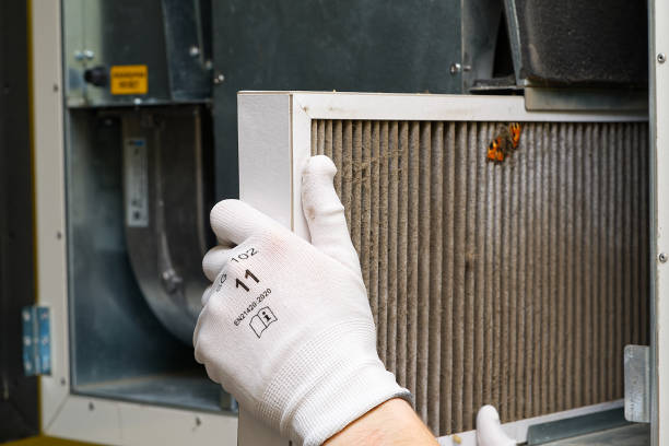 Best Air Quality Test  in Toledo, IL