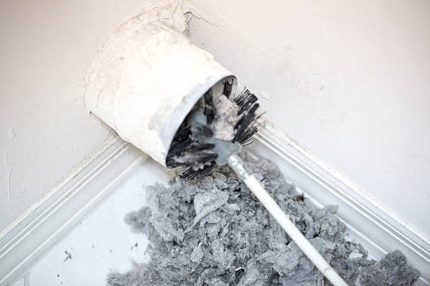 Best HVAC System Cleaning  in Toledo, IL